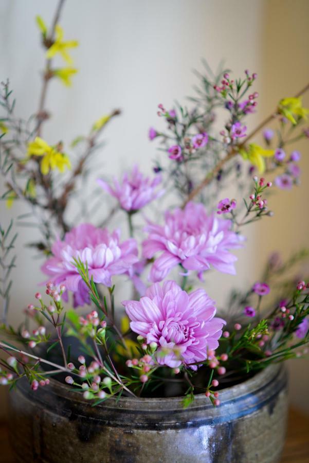 Briar Rose Bed & Breakfast Boulder Esterno foto